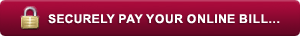 make payment online now